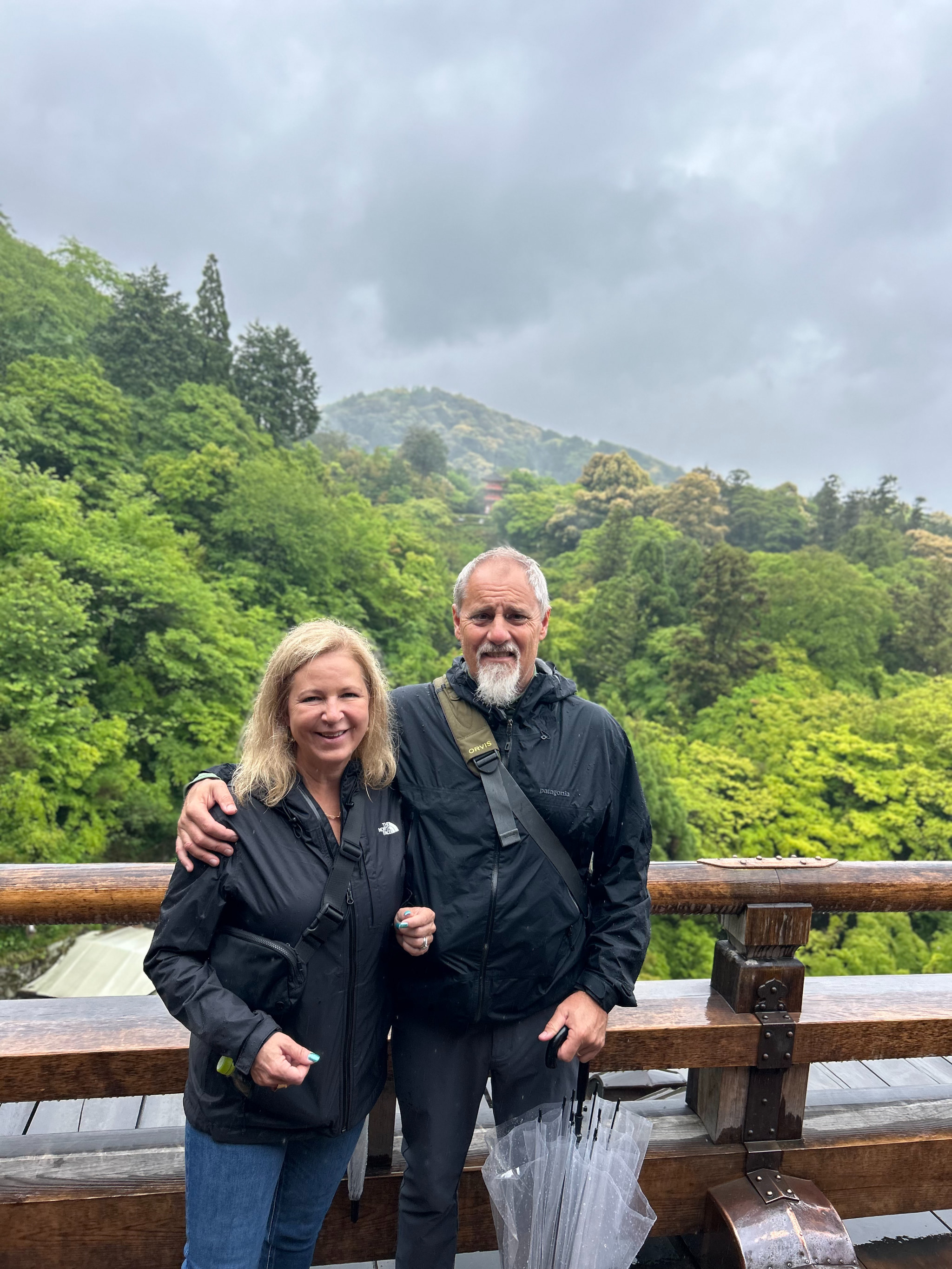 Kyoto and Osaka private tour scenery